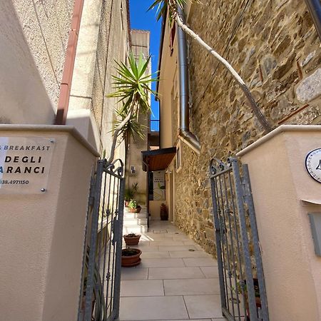 B&B Degli Aranci 帕利努罗 外观 照片
